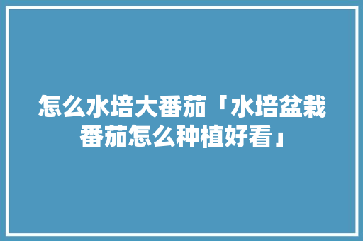 怎么水培大番茄「水培盆栽番茄怎么种植好看」 怎么水培大番茄「水培盆栽番茄怎么种植好看」 番茄种植技巧