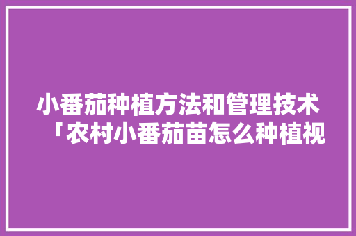 小番茄种植方法和管理技术「农村小番茄苗怎么种植视频」 小番茄种植方法和管理技术「农村小番茄苗怎么种植视频」 番茄病虫害防治