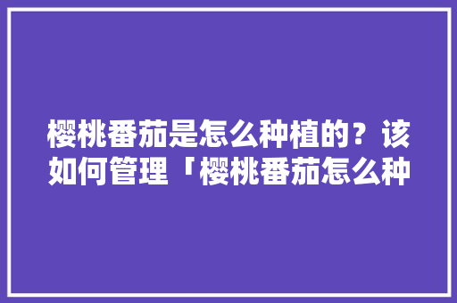 樱桃番茄是怎么种植的？该如何管理「樱桃番茄怎么种植方法视频」 樱桃番茄是怎么种植的？该如何管理「樱桃番茄怎么种植方法视频」 农业常识