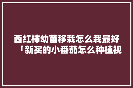 西红柿幼苗移栽怎么栽最好「新买的小番茄怎么种植视频」 西红柿幼苗移栽怎么栽最好「新买的小番茄怎么种植视频」 种植技巧