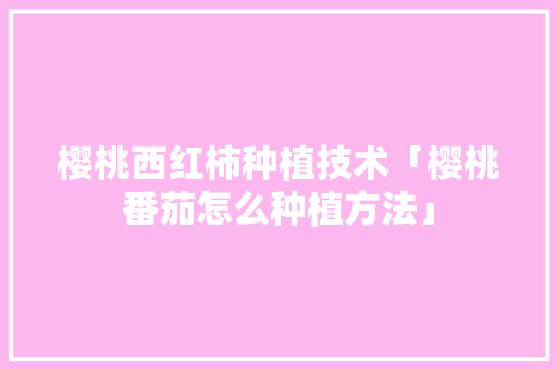 樱桃西红柿种植技术「樱桃番茄怎么种植方法」 樱桃西红柿种植技术「樱桃番茄怎么种植方法」 植物种类