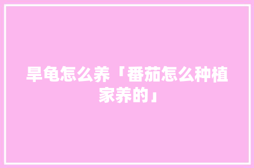 旱龟怎么养「番茄怎么种植家养的」 旱龟怎么养「番茄怎么种植家养的」 种植技巧