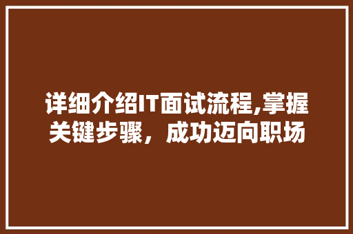 详细介绍IT面试流程,掌握关键步骤，成功迈向职场