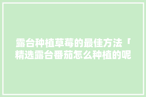 露台种植草莓的最佳方法「精选露台番茄怎么种植的呢」 露台种植草莓的最佳方法「精选露台番茄怎么种植的呢」 番茄种植技巧