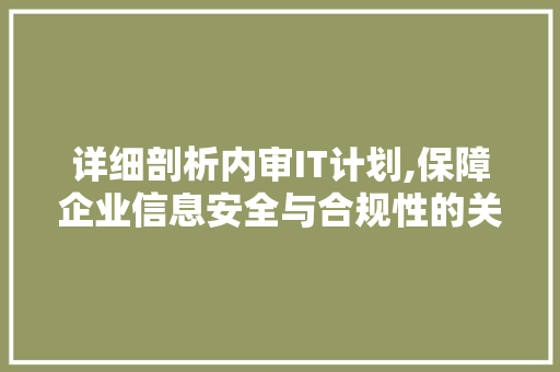 详细剖析内审IT计划,保障企业信息安全与合规性的关键步骤
