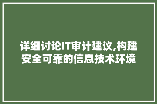 详细讨论IT审计建议,构建安全可靠的信息技术环境