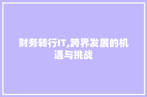 财务转行IT,跨界发展的机遇与挑战