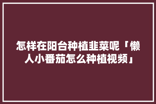 怎样在阳台种植韭菜呢「懒人小番茄怎么种植视频」 怎样在阳台种植韭菜呢「懒人小番茄怎么种植视频」 番茄病虫害防治