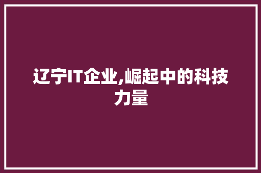 辽宁IT企业,崛起中的科技力量