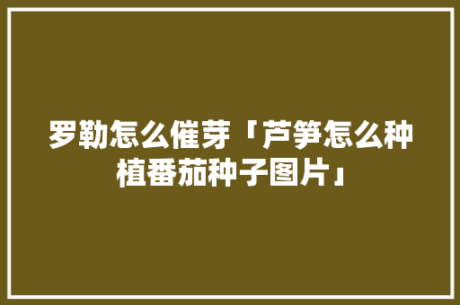 罗勒怎么催芽「芦笋怎么种植番茄种子图片」 罗勒怎么催芽「芦笋怎么种植番茄种子图片」 土壤施肥