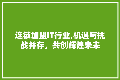 连锁加盟IT行业,机遇与挑战并存，共创辉煌未来