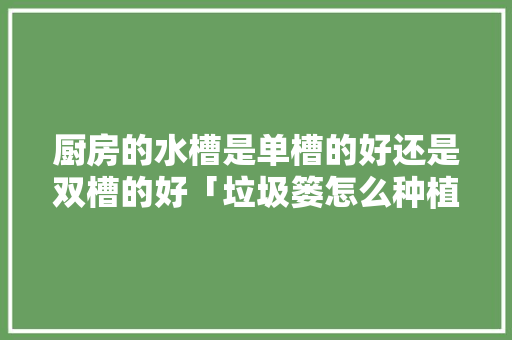 厨房的水槽是单槽的好还是双槽的好「垃圾篓怎么种植番茄种子」 厨房的水槽是单槽的好还是双槽的好「垃圾篓怎么种植番茄种子」 农业常识