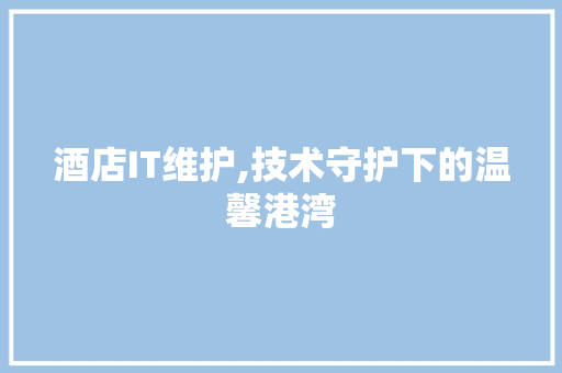 酒店IT维护,技术守护下的温馨港湾
