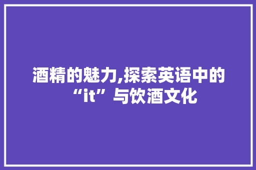 酒精的魅力,探索英语中的“it”与饮酒文化