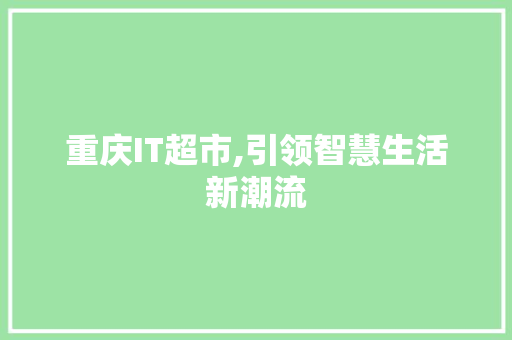 重庆IT超市,引领智慧生活新潮流