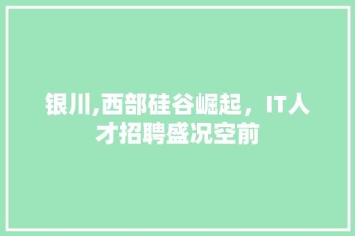 银川,西部硅谷崛起，IT人才招聘盛况空前