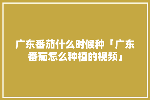 广东番茄什么时候种「广东番茄怎么种植的视频」 广东番茄什么时候种「广东番茄怎么种植的视频」 农业常识