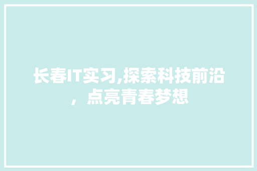 长春IT实习,探索科技前沿，点亮青春梦想