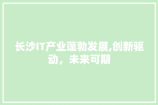 长沙IT产业蓬勃发展,创新驱动，未来可期
