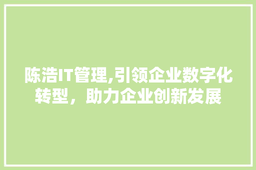 陈浩IT管理,引领企业数字化转型，助力企业创新发展