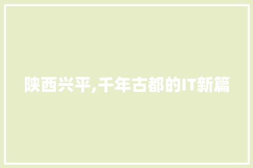 陕西兴平,千年古都的IT新篇