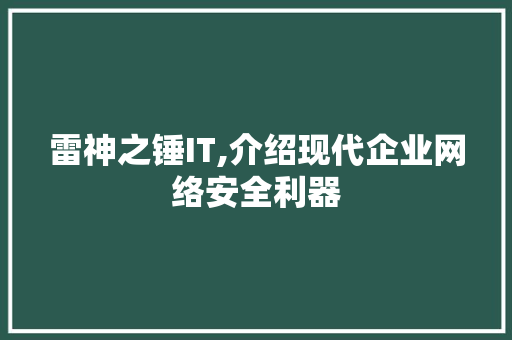 雷神之锤IT,介绍现代企业网络安全利器