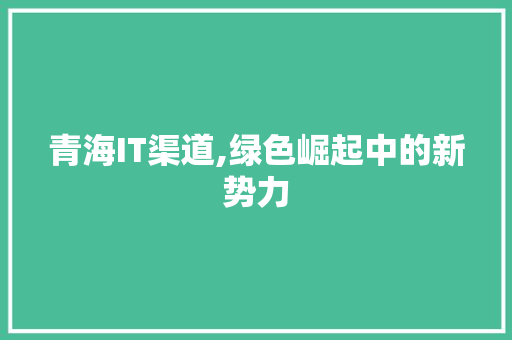 青海IT渠道,绿色崛起中的新势力
