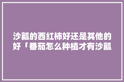 沙瓤的西红柿好还是其他的好「番茄怎么种植才有沙瓤呢」 沙瓤的西红柿好还是其他的好「番茄怎么种植才有沙瓤呢」 番茄种植技巧