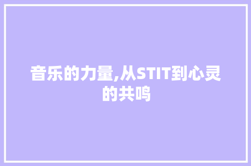 音乐的力量,从STIT到心灵的共鸣