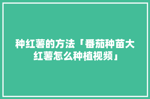 种红薯的方法「番茄种苗大红薯怎么种植视频」 种红薯的方法「番茄种苗大红薯怎么种植视频」 种植技巧