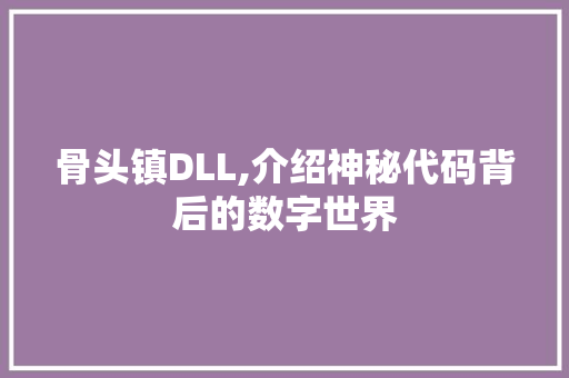 骨头镇DLL,介绍神秘代码背后的数字世界