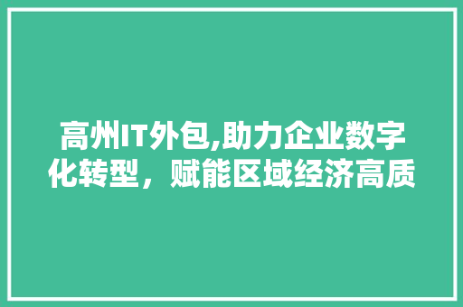 高州IT外包,助力企业数字化转型，赋能区域经济高质量发展
