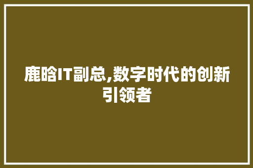 鹿晗IT副总,数字时代的创新引领者