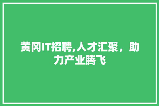 黄冈IT招聘,人才汇聚，助力产业腾飞