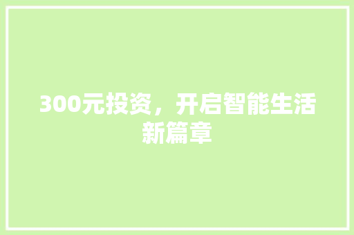 300元投资,开启智能生活新篇章 300元投资,开启智能生活新篇章