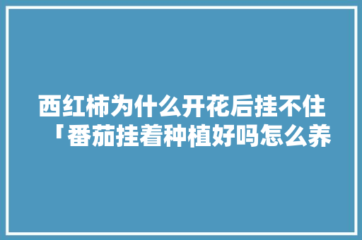 西红柿为什么开花后挂不住「番茄挂着种植好吗怎么养护」 西红柿为什么开花后挂不住「番茄挂着种植好吗怎么养护」 种植技巧