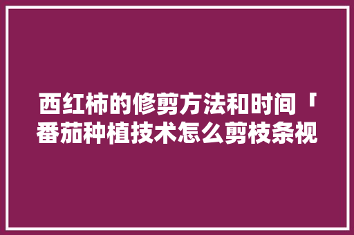 西红柿的修剪方法和时间「番茄种植技术怎么剪枝条视频」 西红柿的修剪方法和时间「番茄种植技术怎么剪枝条视频」 番茄病虫害防治