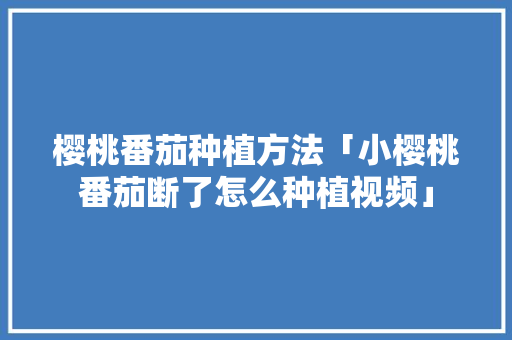樱桃番茄种植方法「小樱桃番茄断了怎么种植视频」 樱桃番茄种植方法「小樱桃番茄断了怎么种植视频」 农业常识