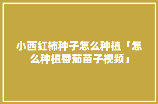 小西红柿种子怎么种植「怎么种植番茄苗子视频」 小西红柿种子怎么种植「怎么种植番茄苗子视频」 花朵知识