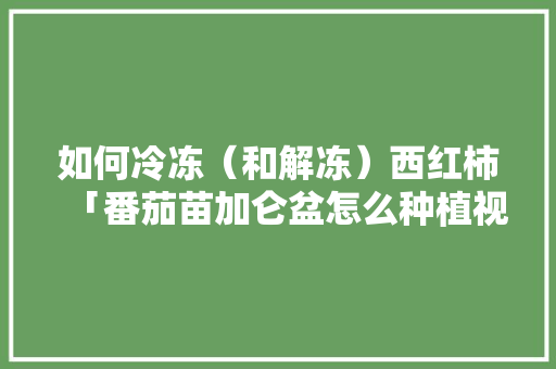 如何冷冻（和解冻）西红柿「番茄苗加仑盆怎么种植视频」 如何冷冻（和解冻）西红柿「番茄苗加仑盆怎么种植视频」 番茄种植技巧