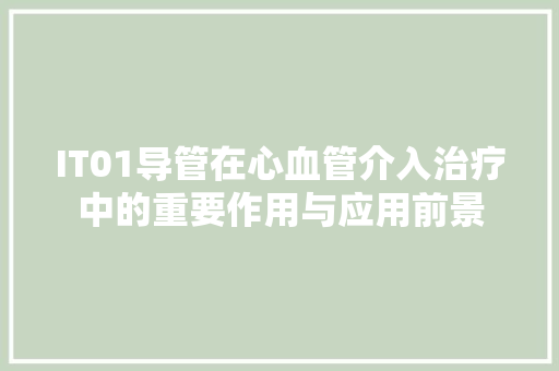IT01导管在心血管介入治疗中的重要作用与应用前景