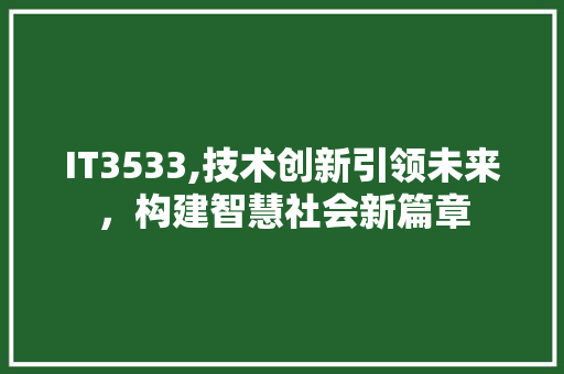 IT3533,技术创新引领未来，构建智慧社会新篇章