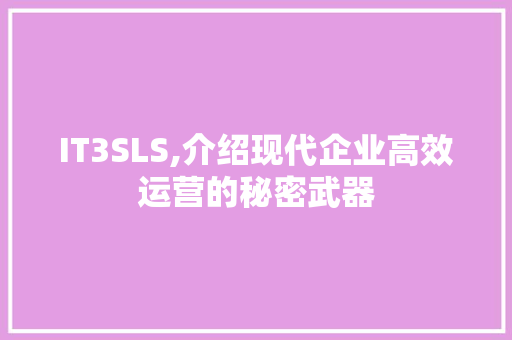 IT3SLS,介绍现代企业高效运营的秘密武器