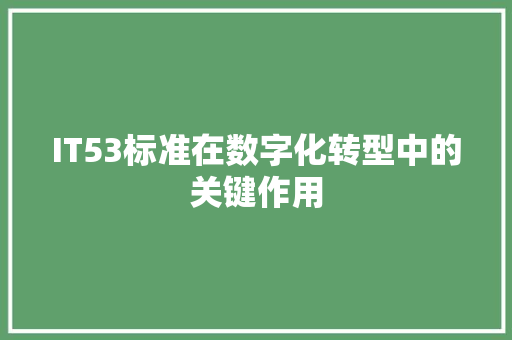 IT53标准在数字化转型中的关键作用