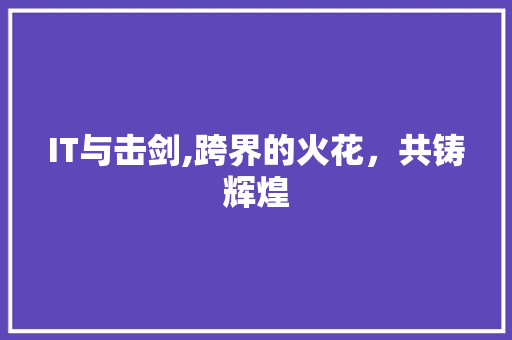 IT与击剑,跨界的火花，共铸辉煌