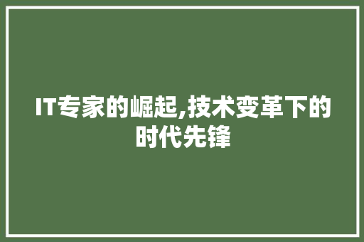 IT专家的崛起,技术变革下的时代先锋