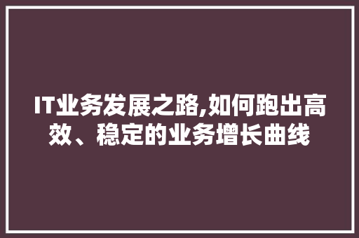 IT业务发展之路,如何跑出高效、稳定的业务增长曲线