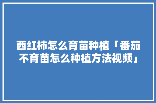 西红柿怎么育苗种植「番茄不育苗怎么种植方法视频」 植物种类 西红柿怎么育苗种植「番茄不育苗怎么种植方法视频」 西红柿怎么育苗种植「番茄不育苗怎么种植方法视频」 植物种类
