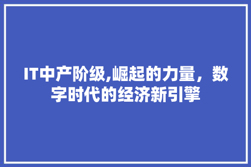 IT中产阶级,崛起的力量，数字时代的经济新引擎