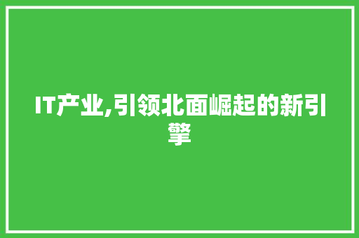 IT产业,引领北面崛起的新引擎